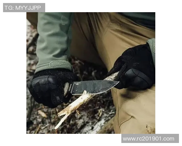 成都极限运动队防反打法深度分析与战术解读