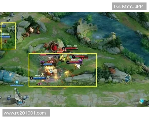 深入分析RNG战队区域防守策略及其在比赛中的应用效果