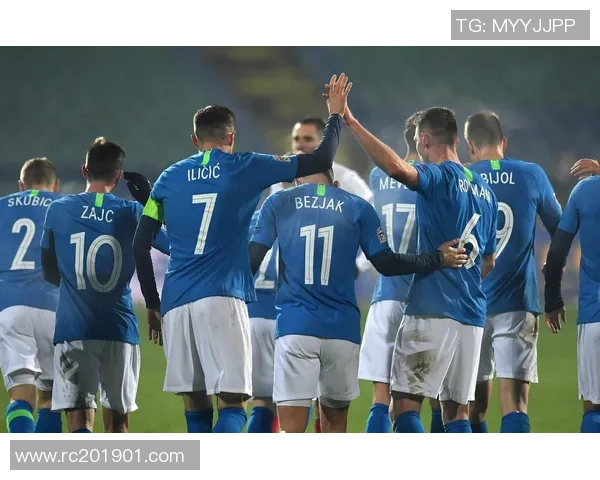 保加利亚与斯洛文尼亚足球比赛精彩比分回顾与分析